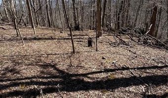 Tdb Nettles Ridge Road, Banner Elk, NC 28604