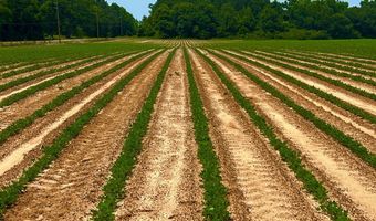 0 Rocky Creek Rd, Ashford, AL 36312