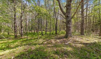 17-1 Bald Head Rd, Arrowsic, ME 04548