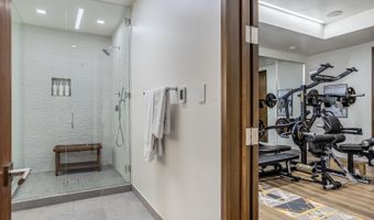 130 Primrose Path, Aspen, CO 81611