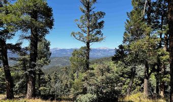 72 Back Basin, Angel Fire, NM 87710