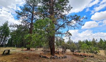 48070 Partin Dr, Beatty, OR 97621