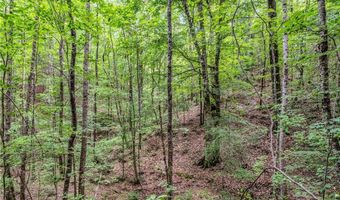 16060 US 278, Beaverton, AL 35544