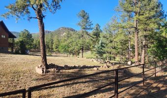 54 1st N St, Alpine, AZ 85920