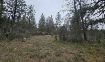 Partin Way 5, Beatty, OR 97621