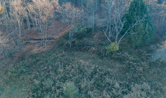 1361 Weaver Hollow Rd, Andes, NY 13731