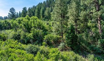 554 Pine Spring Dr, Bayfield, CO 81122