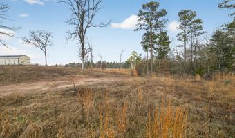 868 County Road 2920, Alba, TX 75410