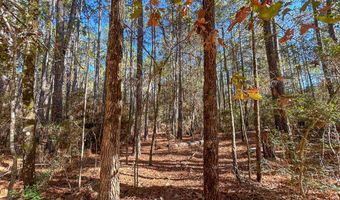 527 Forest Service Rd, Apple Springs, TX 75926
