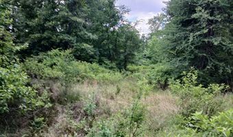 East Highway 3, Atoka, OK 74525