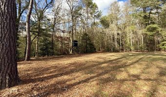 County Road 72, Ariton, AL 36311