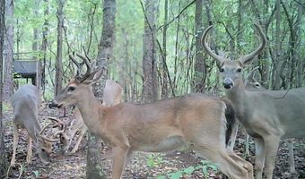 1371 POST OAK Rd, Alexandria, AL 36250