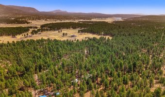 56 Co Rd 2266, Alpine, AZ 85920