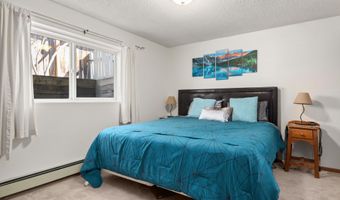 534 And 536 Spruce St 1 And 2, Aspen, CO 81611