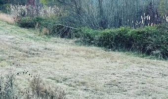 10664 Burton's Ferry Rd, Allendale, SC 29810