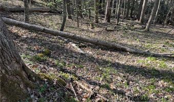 2438 Kellersville Rd, Banner Elk, NC 28604