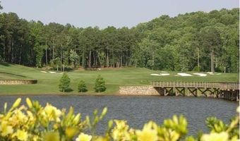 110 Hawks Club Dr, Ball Ground, GA 30107