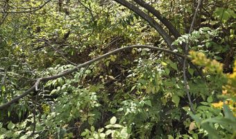 124-125 Prospect St 1230-VL00.0005  1230-VL0004, Barre, VT 05641