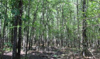 TBD CR 4670, De Kalb, TX 75559