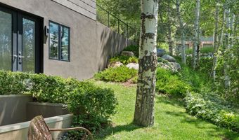 257 MOUNTAIN LAUREL Dr, Aspen, CO 81611