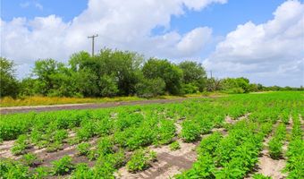 WBD N Hwy 281, Alice, TX 78332