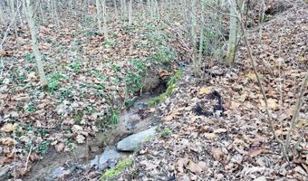 Rocky Creek Ln Lot 12, Amherst, VA 24553