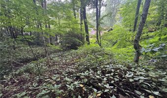 Tbd Clubhouse Drive, Banner Elk, NC 28604