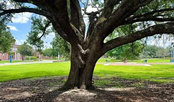 24060 Conservation Way Ave Plan: Eastwood, Ponchatoula, LA 70454