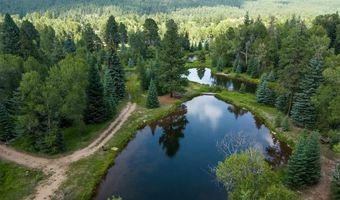 65 Pinestone Dr, Bayfield, CO 81122