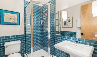 308 Park Ave, Aspen, CO 81611