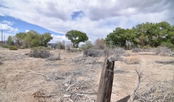 Carol Way, Fernley, NV 89408
