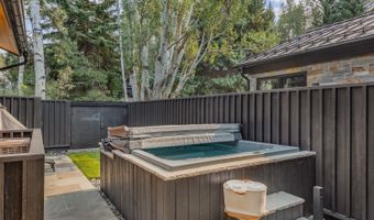 500 W Smuggler St, Aspen, CO 81611