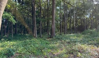 23 Joe Frazier Rd, Beaufort, SC 29906