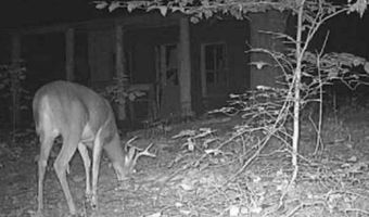 78 Nora Loop, Alpha, KY 42603