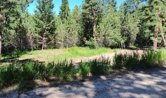 1825 Copper Cliff Dr, Bonner, MT 59823