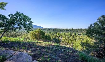 37 Gallina Canyon Rd, Valdez, NM 87580