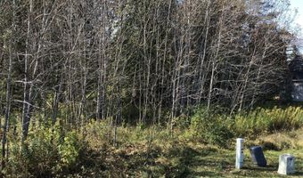 6430 6648 Admirals Point Drive Lot 9 Slip142, Alanson, MI 49706