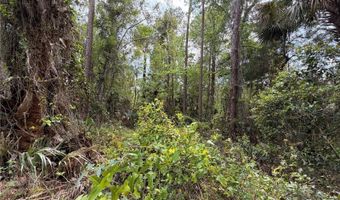 COUNTY ROAD 445A, Astor, FL 32102