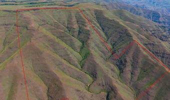 NKA Montgomery Ridge Road, Asotin, WA 99402