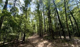 SE Lee Drive, Bogue Chitto, MS 39629