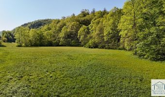 1619 Squirrel Creek Rd, Ararat, VA 24053
