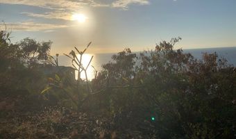 JAPONICA RD, Captain Cook, HI 96704