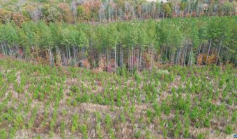 TBA RIDGE RD 1, Arvonia, VA 23004