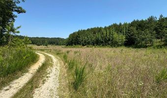 0 Highway 140 Tract F NW, Adairsville, GA 30103