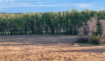 NHN Tongue River Rd, Ashland, MT 59003