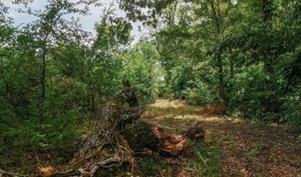 Copeland Ridge Road, Arkadelphia, AR 71923