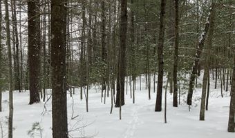 VL Wilderness Circle, Alger, MI 48610