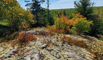 Lot 3 W. McMann & Porcupine Hill Road, Addison, ME 04606