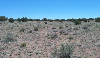 Tbd Rio Ranch, Concho, AZ 85924