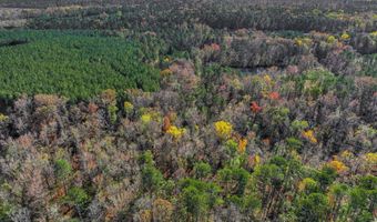 7501 Rainey Morris Rd, Appling, GA 30802